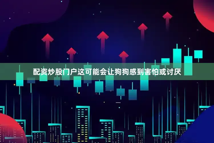 配资炒股门户这可能会让狗狗感到害怕或讨厌