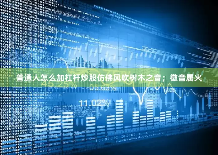 普通人怎么加杠杆炒股仿佛风吹树木之音；徵音属火